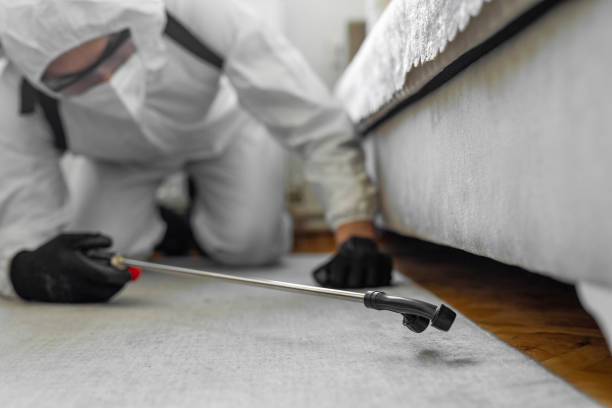 Professional Termite Control technician working in Karnes County County, TX
